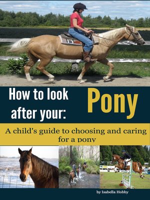 cover image of How to Look After Your Pony